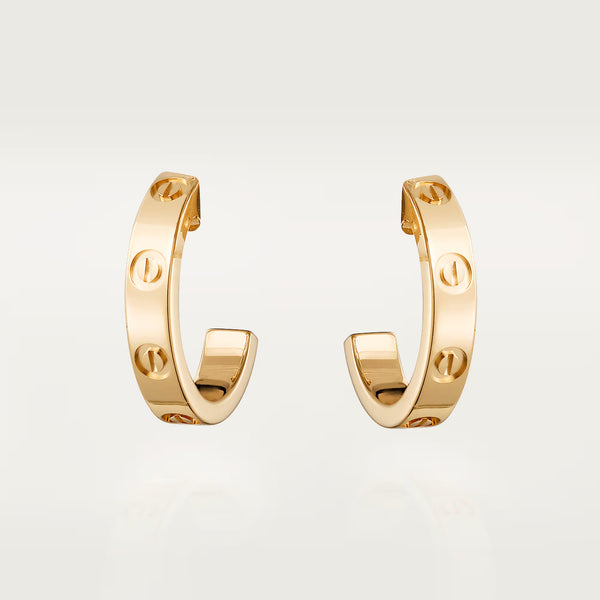 18K Gold Plated Screw Earrings